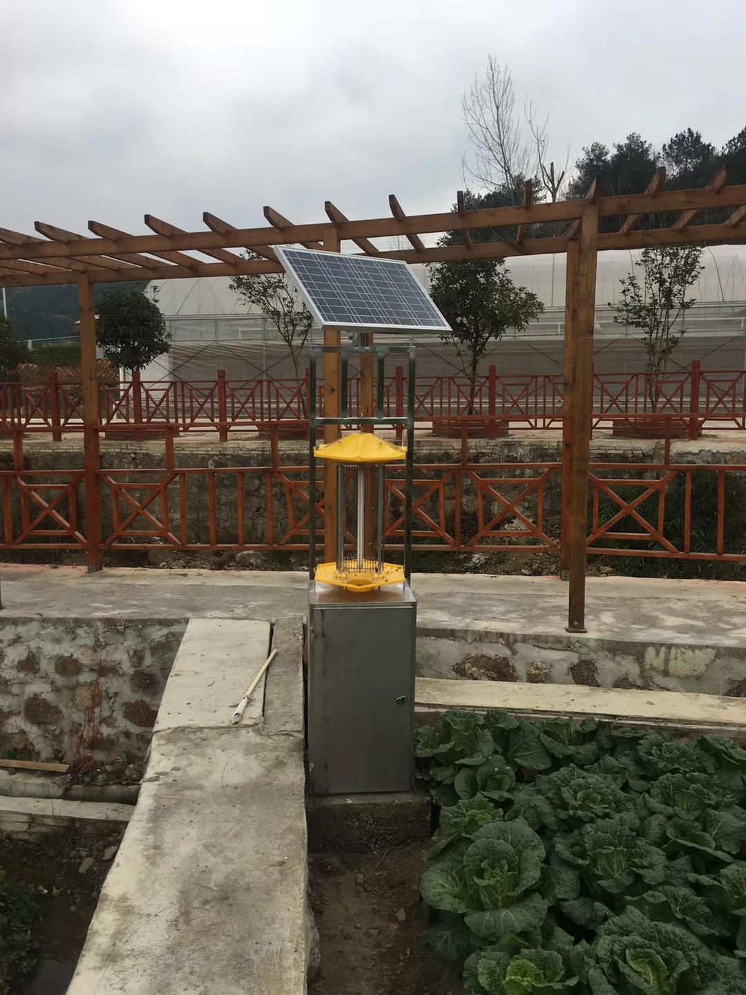 ̫�(y��ng)�ܚ��x(ch��ng)��